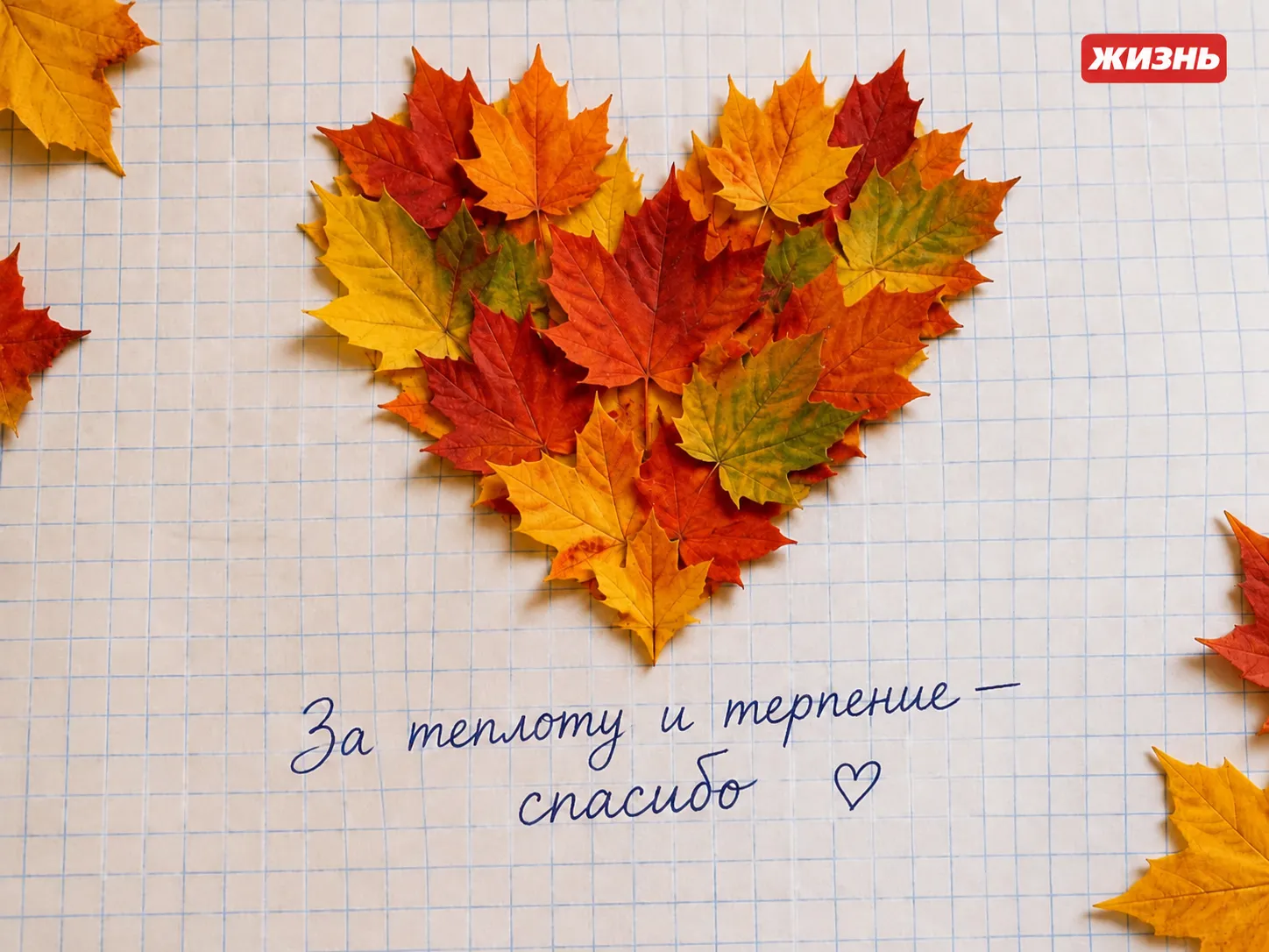 Коллаж: Сорокина Екатерина, фото сгенерировано нейросетью GPT Images