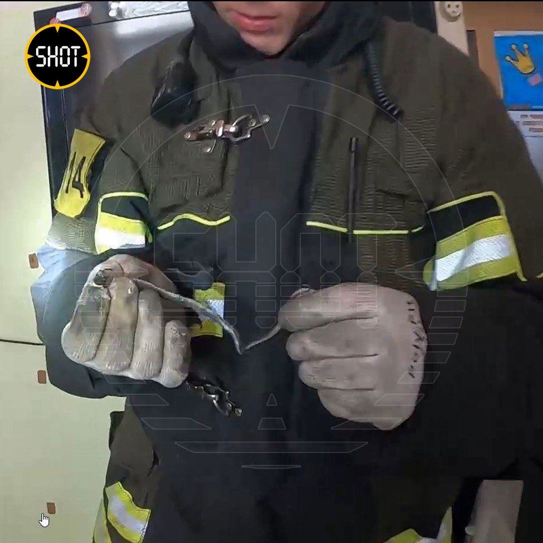 Змея в барабане стиральной машины напугала жительницу Москвы