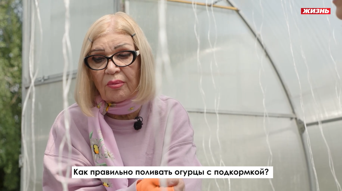 Как поливать огурцы с подкормкой? Совет Ганичкиной