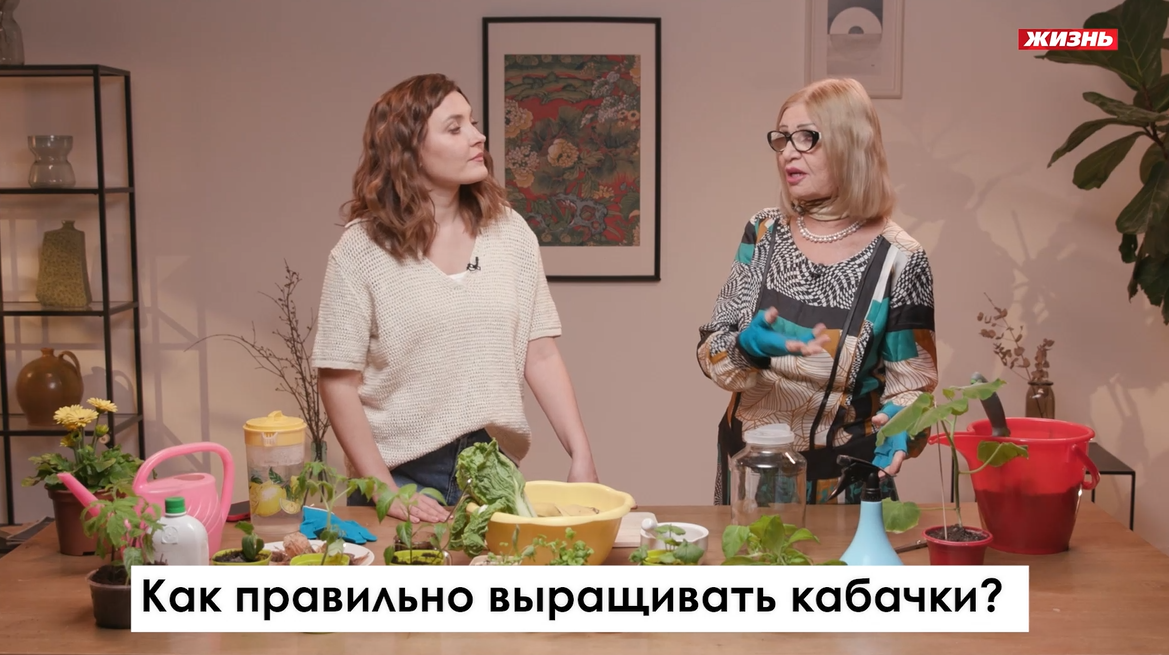 Как получить ранние кабачки? Совет Октябрины Ганичкиной