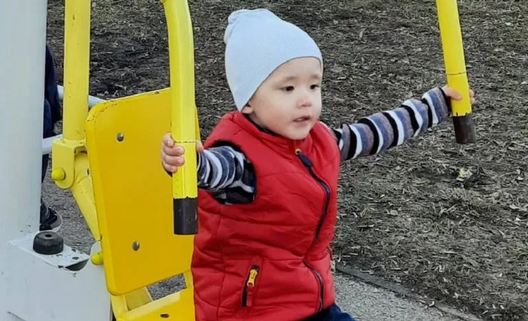 Коллаж: Ксения Михед