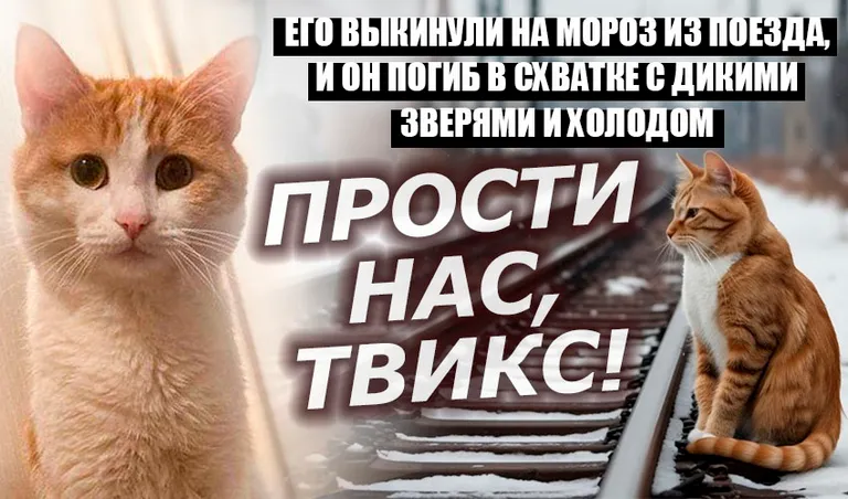 Коллаж: Ксения Михед