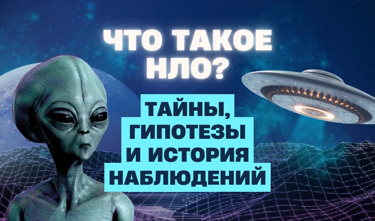 Коллаж: Полина Кравченко