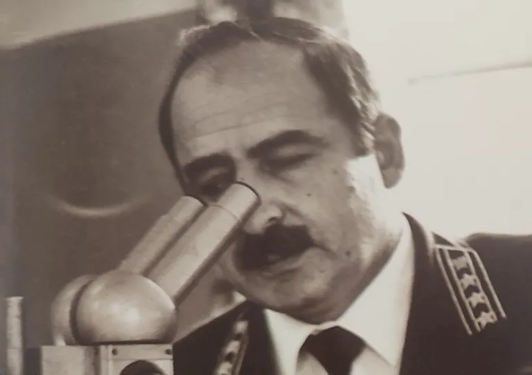 Коллаж: Ксения Михед