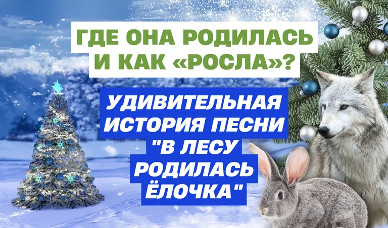 Коллаж: Полина Кравченко