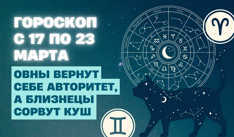 Коллаж: Полина Кравченко