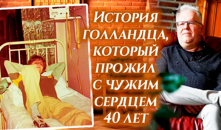 Коллаж: Ксения Михед