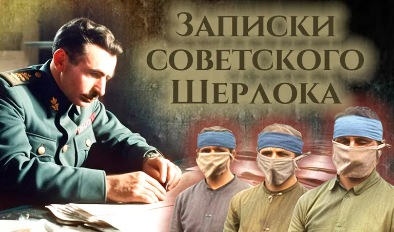 Коллаж: Ксения Михад