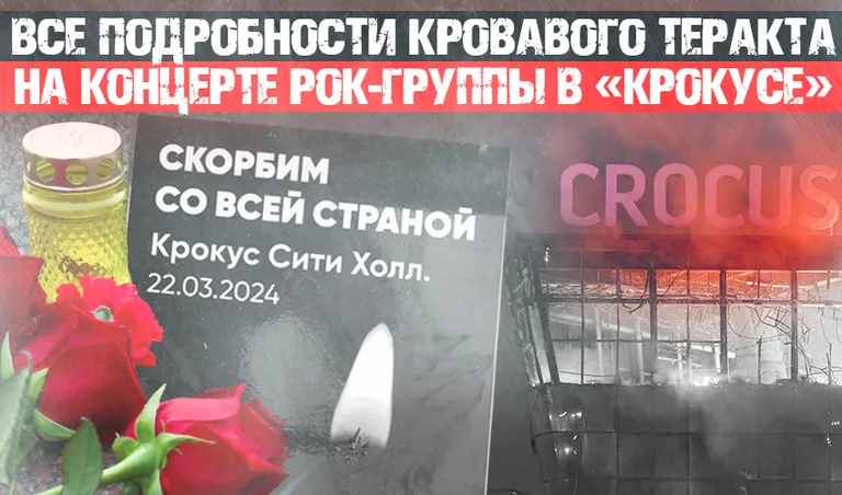 Коллаж: Ксения Михед (Егор Алеев/ТАСС, Михаил Терещенко/ТАСС)