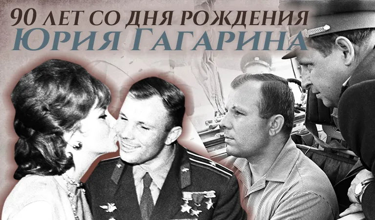 Коллаж: Ксения Михед