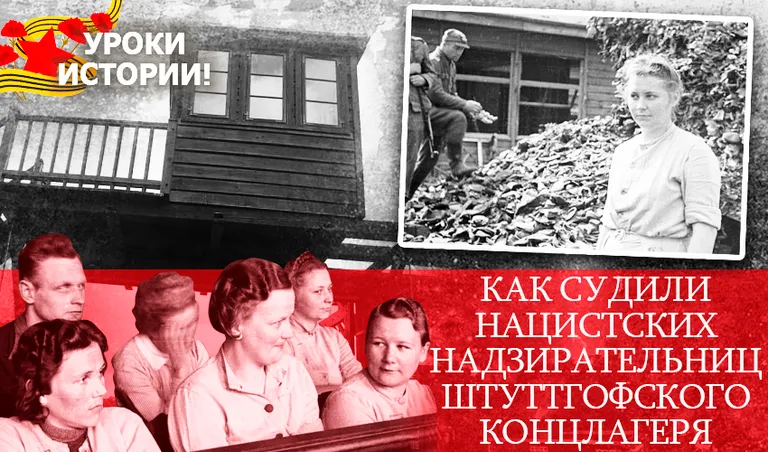 Коллаж: Ксения Михед
