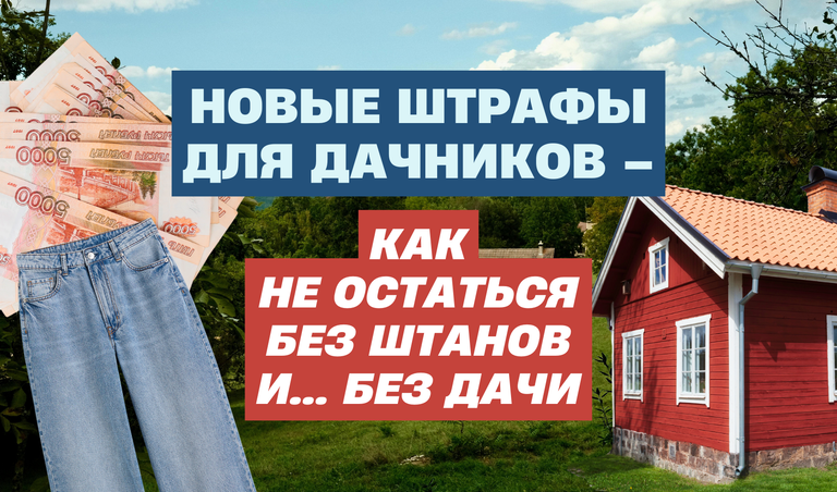 КОЛЛАЖ: ПОЛИНА КРАВЧЕНКО