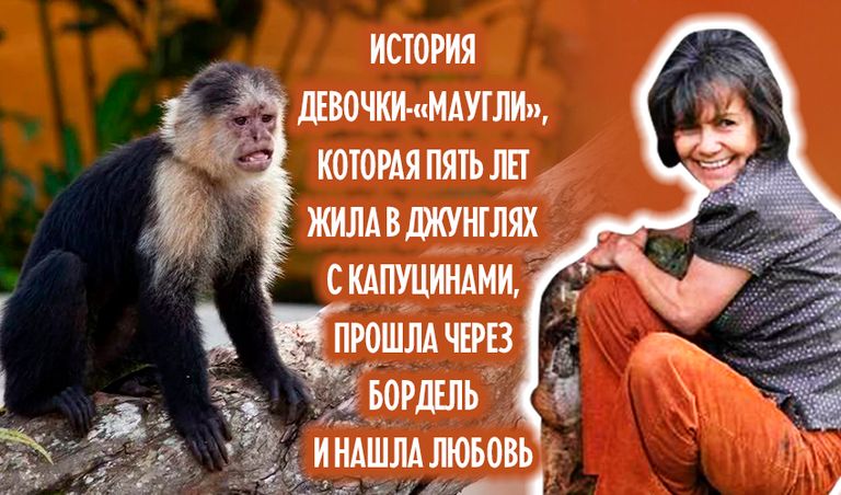 Коллаж: Ксения Михед