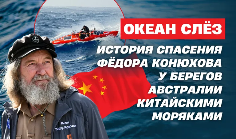 Коллаж: Полина Кравченко