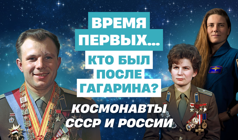 Коллаж: Полина Кравченко