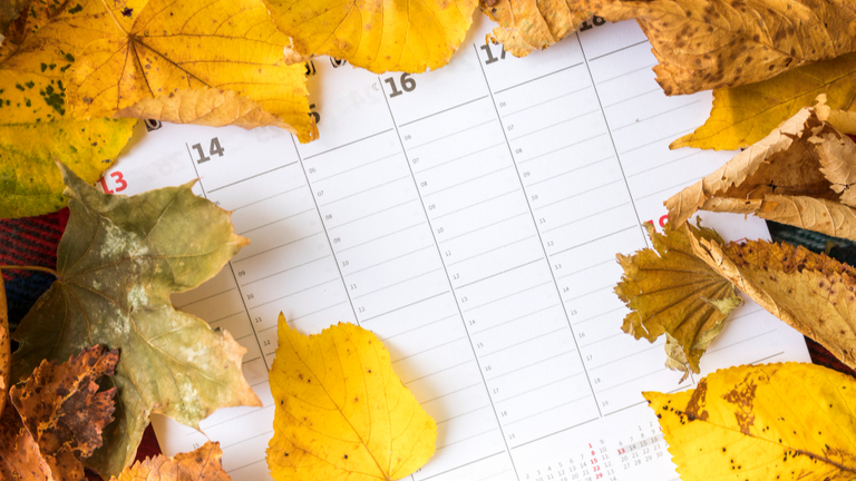 Рабочие и праздничные дни в сентябре 2025 года. Фото: freepik.com