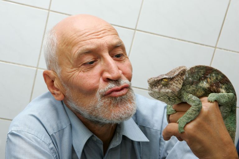 Коллаж: Ксения Михед