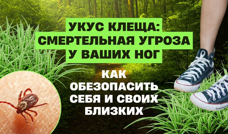 КОЛЛАЖ: ПОЛИНА КРАВЧЕНКО