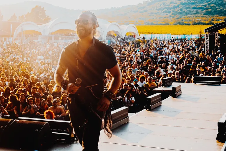 Коллаж: Ксения Михед