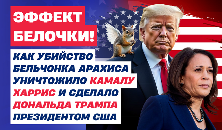 Коллаж: Полина Кравченко