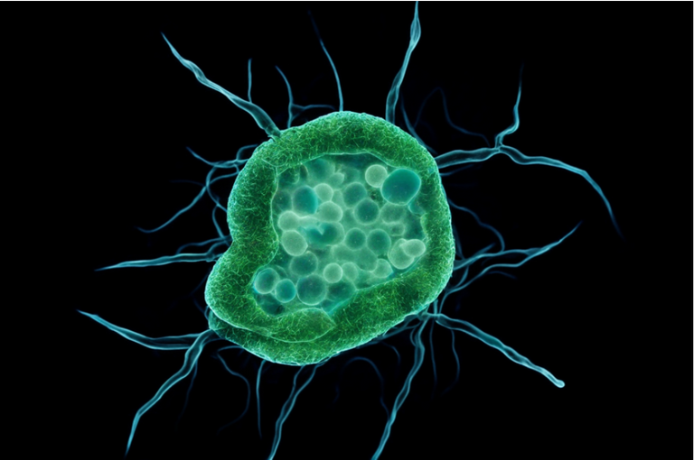 ФОТО сгенерировано ИИ fusionbrain.ai