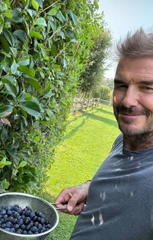  Фото: Инстаграм (запрещен в России) / @davidbeckham