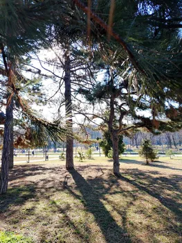 Фото: «Жизнь»
