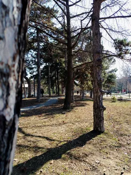 Фото: «Жизнь»