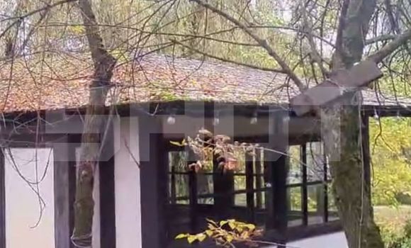 Фото: t.me/shot_shot