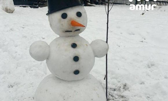 Фото: t.me/amur_mash