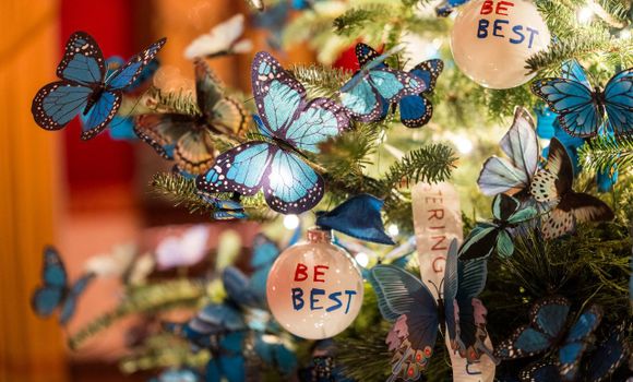 Фото: соцсети