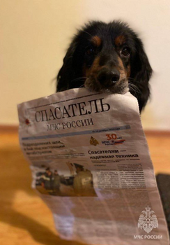 Герой хвастается своей работой. Фото: vk.com/mchs_54