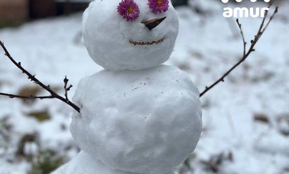 Фото: t.me/amur_mash