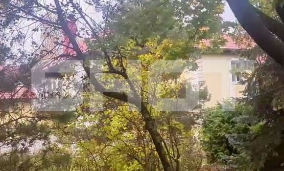 Фото: t.me/shot_shot