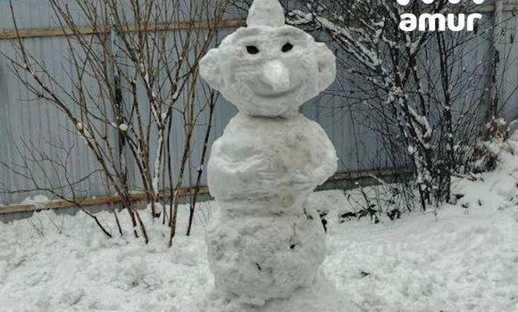 Фото: t.me/amur_mash