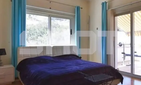 Фото: t.me/shot_shot