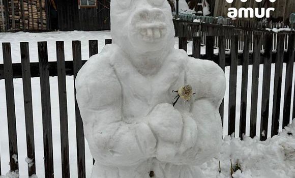 Фото: t.me/amur_mash