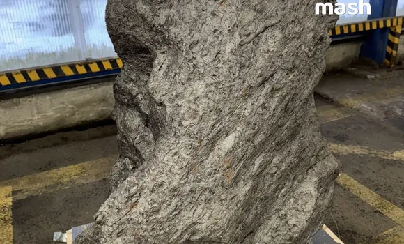 Фото: @breakingmash