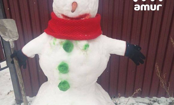 Фото: t.me/amur_mash