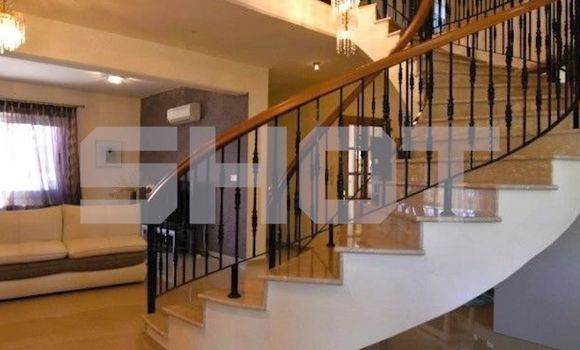 Фото: t.me/shot_shot