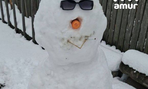 Фото: t.me/amur_mash