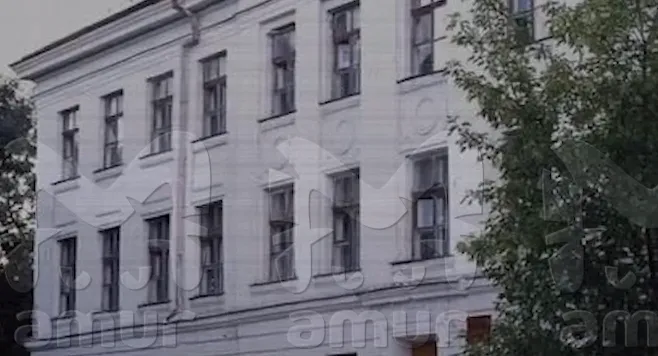 В Приморье 9-классницы затащили второклассницу в туалет и засунули в рот ершик. Фото: t.me/amur_mash