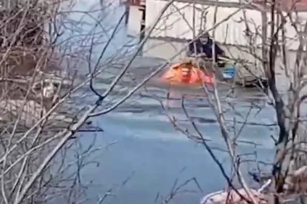 Курганец всеми силами пытался вытащить свою кошку из воды. Фото: @url_mash