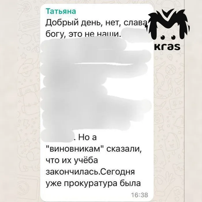 Переписка из родительского чата. Фото: @t.me/kras_mash