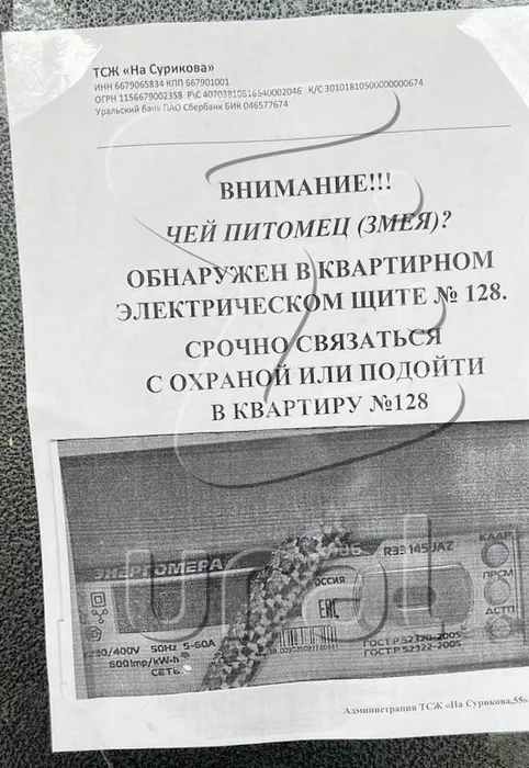В многоэтажке Екатеринбурга змея сбежала от хозяев и заползла в электрощиток. Фото: t.me/url_mash