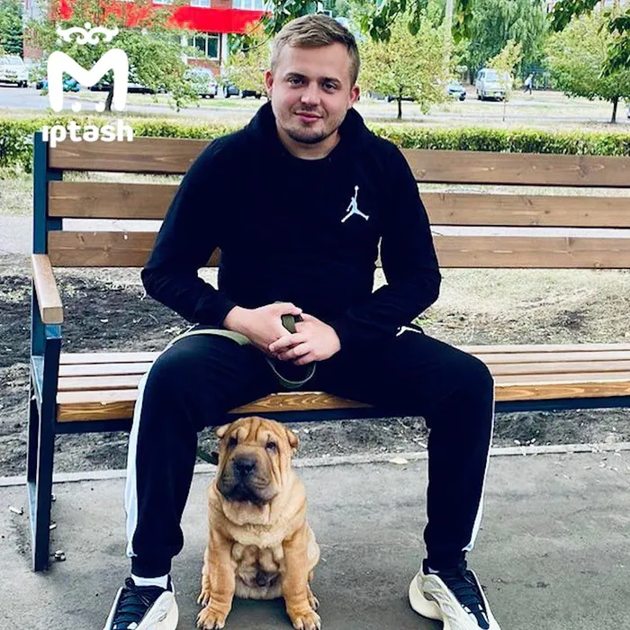 В Татарстане суд заставил даму заплатить за отказ отдать экс-мужу щенка 103 000. Фото: @mash_iptash