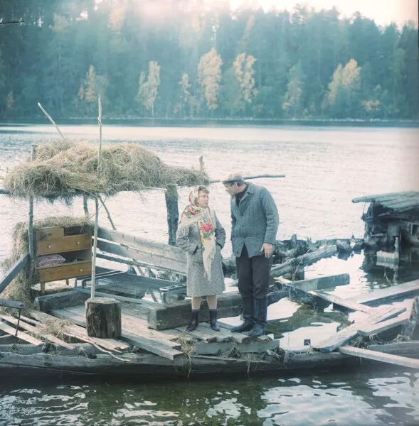 Нина Дорошина и Александр Михайлов. Кадр из фильма "Любовь и голуби", 1984, реж. В. Меньшов. Фото: legion-media.ru