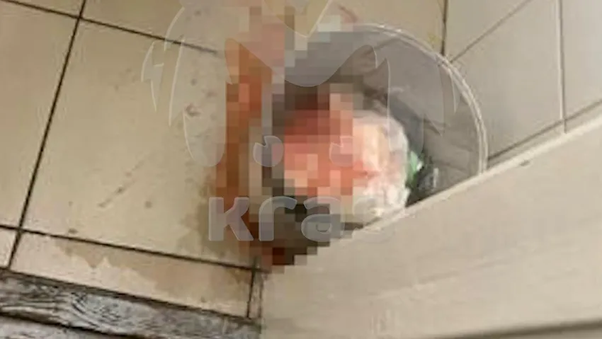 Красноярской студентке, утопившей младенца в туалете, дали 1,5 года колонии. Фото: t.me/kras_mash