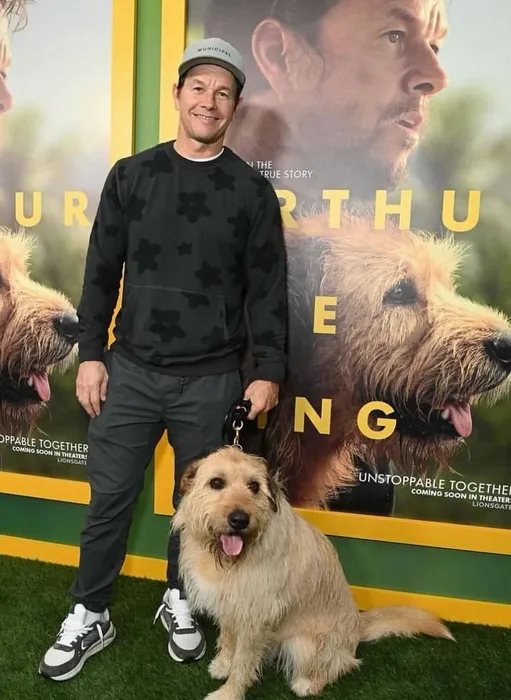 Марк "кинул" друга. Фото: ИНСТАГРАМ (ЗАПРЕЩЕН В РОССИИ) / @markwahlberg