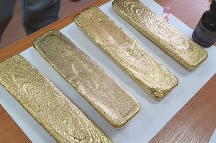 Житель Приамурья намыл 23 килограмма золота в Якутии и пытался его продать за 70 миллионов рублей. Фото: @amur_mash